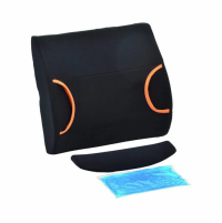 Image of the parts of the Back Cushion with Hot/Cold Pack. thumbnail