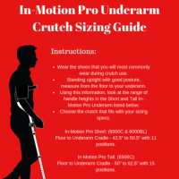 in-motion pro thumbnail